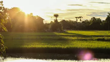 Landschaft in Kambodscha