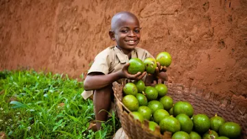 Ezechiel freut sich über die Avocadoernte