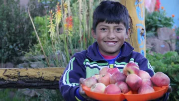 Junge mit Äpfeln in Peru