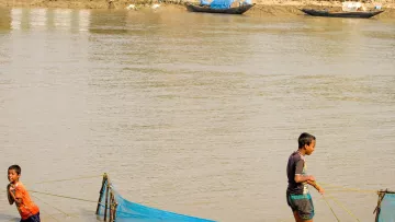 Jungen beim Shrimps fischen