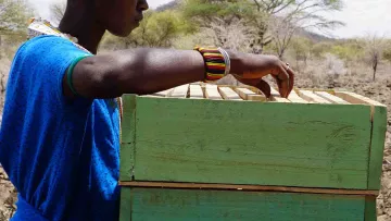 Frau aus Kenia mit Bienenkorb