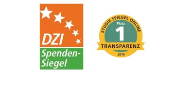 Logo DZI Spiegel