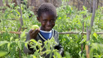 Junge im Gemüsegarten in Simbabwe