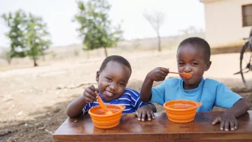 Wings Stiftungszweck