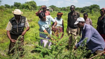 Farmer in Kenia