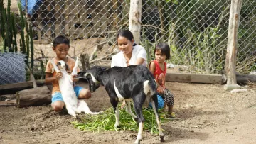 Tuyen und seine Familie in ihrem Ziegenstall