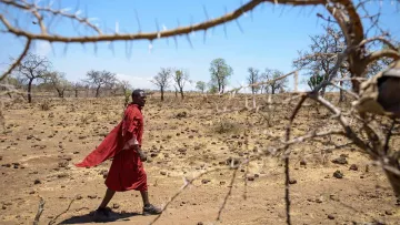Dürre in Arusha