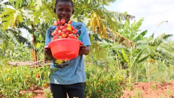 Kind in Tansania mit Ernte
