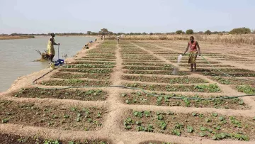 Landwirtschaftlich genutzte Fläche im Südsudan