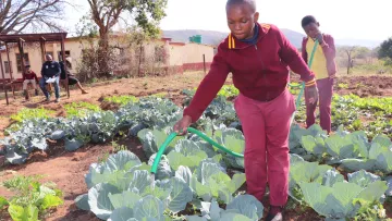 Ernährung und Einkommen in eSwatini dank Kinderpatenschaft