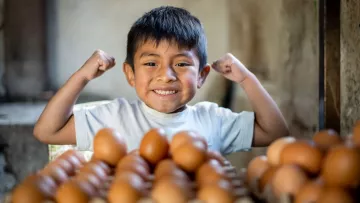 Einkommen und Ernährung in Guatemala dank Patenschaften