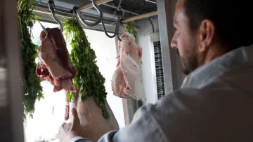 Bild Erfolgsgeschichte