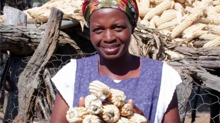 Studie The way forward: Word Vision Institut