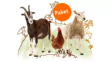 Paket Tierische Helfer