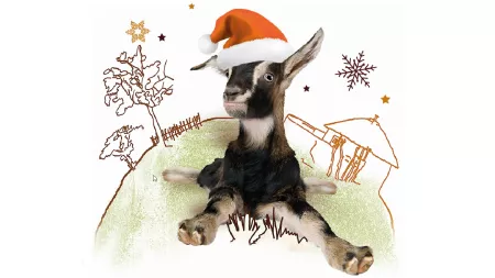 Weihnachtsziege