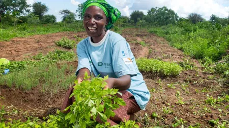 Nachhaltige Landwirtschaft
