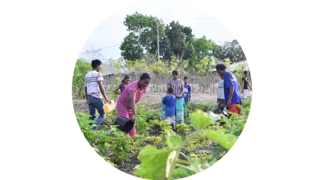 Familien in Indonesien arbeiten im Gemüsegarten