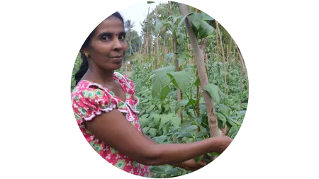 Frau in einem Gemüsefeld in Sri Lanka