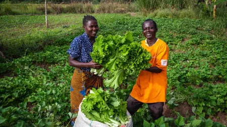 Ungerechter Welthandel