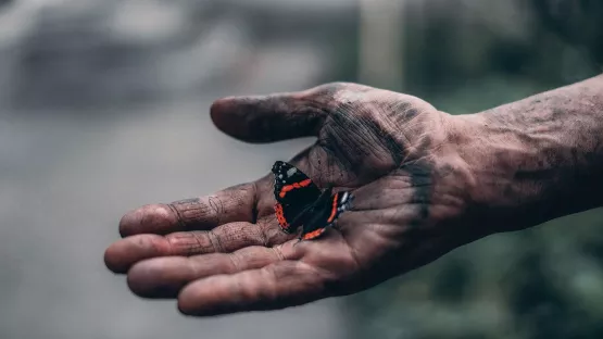 Mann hält einen Schmetterling in der Hand