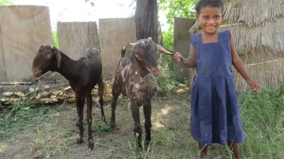 Inati mit den Ziegen ihrer Familie