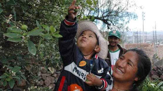 Junge mit Familie im Obstgarten in Peru