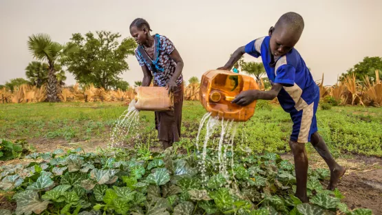 Ein Junge und seine Mutter gießen ein Feld im Südsudan