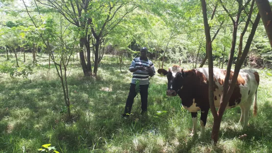 Farmer auf wiederbegrüntem Land in Kenia - FMNR