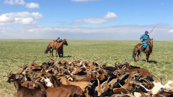 Die Teilnehmer der Patenreise in die Mongolei erleben die Weite und Einsamkeit der Landschaft
