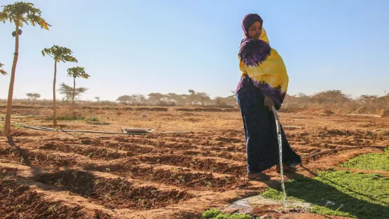 Duerre-Somalia-Nimo-Gemuese-dank World Vision