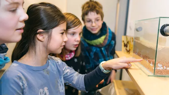Kinderstudie zu Mitbestimmung bei Kindern