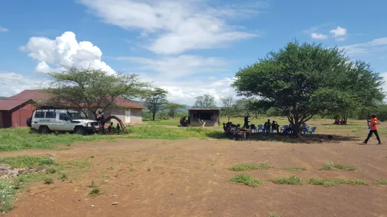 Ein großer Baum unter dessen Schatten Schulbänke und Tische aufgebaut sind.