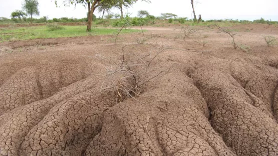 Erodierter Boden mit tiefen Gräben in Äthiopien
