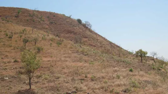 Vetrocknete Landschaft