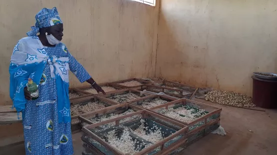 Rebecca Togo zeigt, wo und wie sie ihre Zwiebeln trocknen