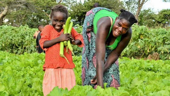 Freude über bessere Ernte