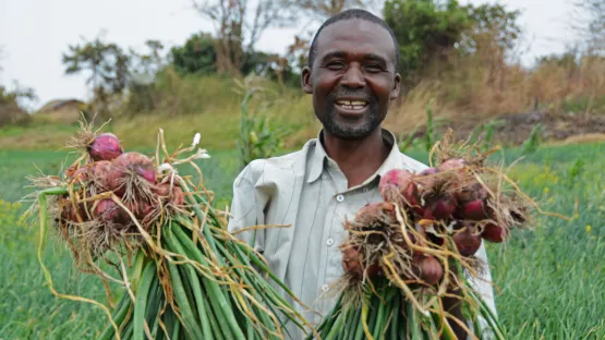Freude über bessere Ernte durch FMNR