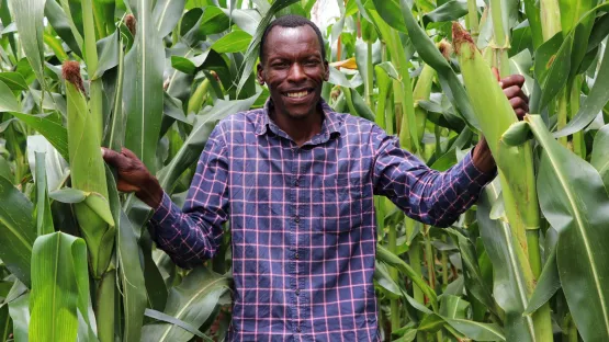 Bessere Ernten durch FMNR