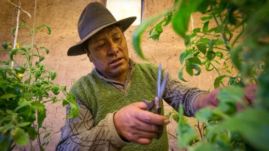 Mann bei der Landwirtschaft