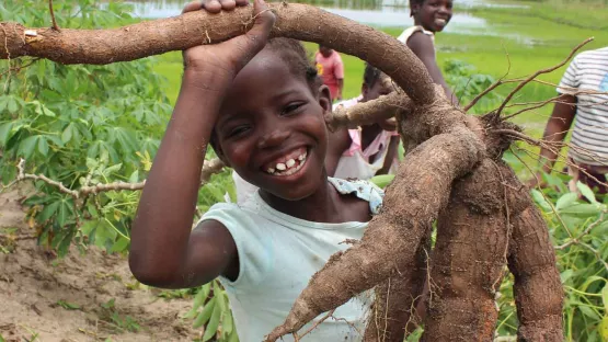 World Vision Entwicklungszusammenarbeit Mosambik Erste Ernste