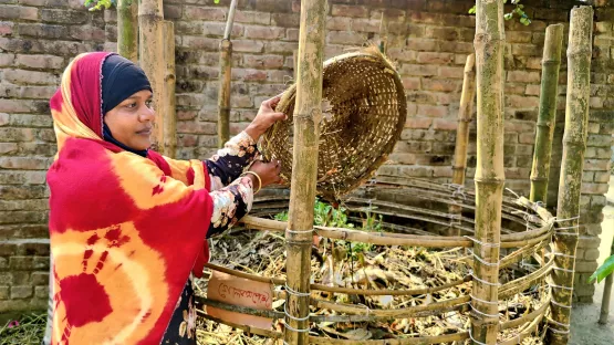 Kompostierung von Bioabfällen in Bangladesch