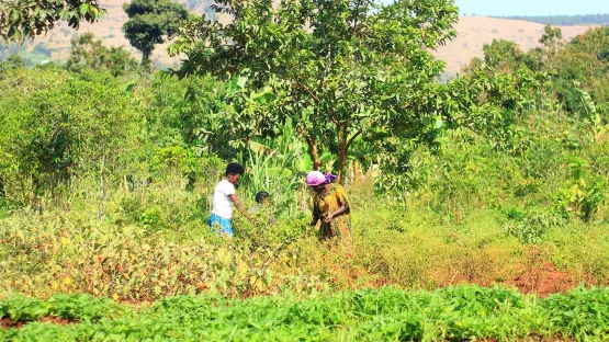 Rainbow Stiftungsfonds Kafunjo