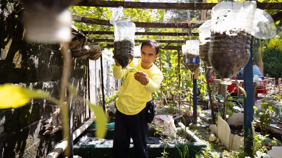 Wiederverwendung von PLastikflaschen als Pflanzgefäße