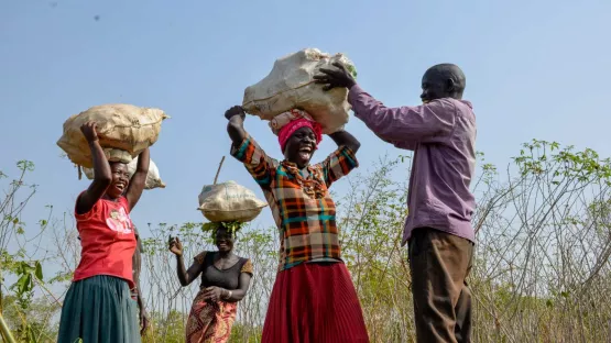 Mawa Geschichte Bild