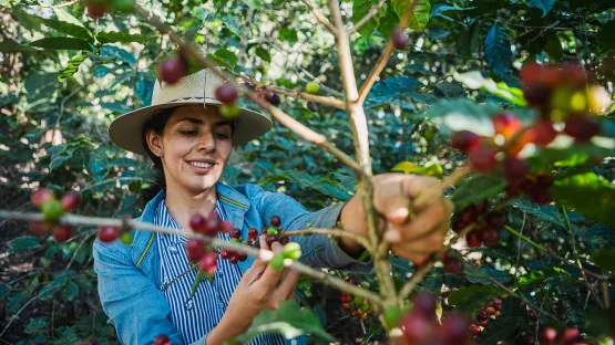 Lebensgrundlagen Honduras