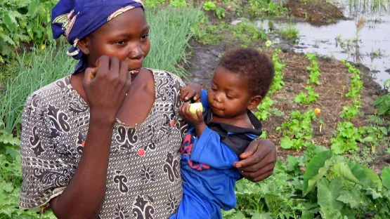 Landwirtschaft Tschad