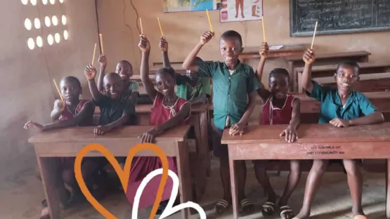 Größte Erfolge Bild