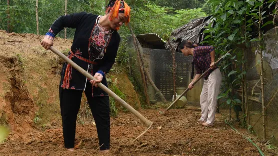 Vietnam Schwerpunkt Einkommen