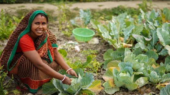 Einkommenssicherung in Bangladesch