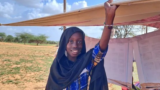 Aminetous Geschichte